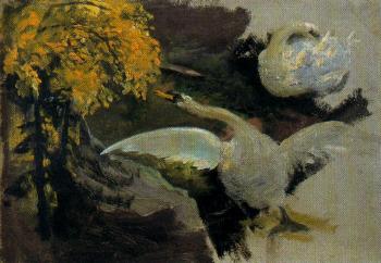 伊格納西奧 狄亞玆 奧拉諾 Cisnes 伊格納西奧 狄亞玆 奧拉諾 Cisnes